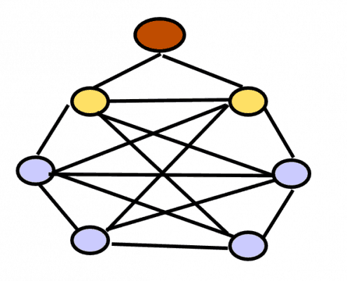 full mesh network